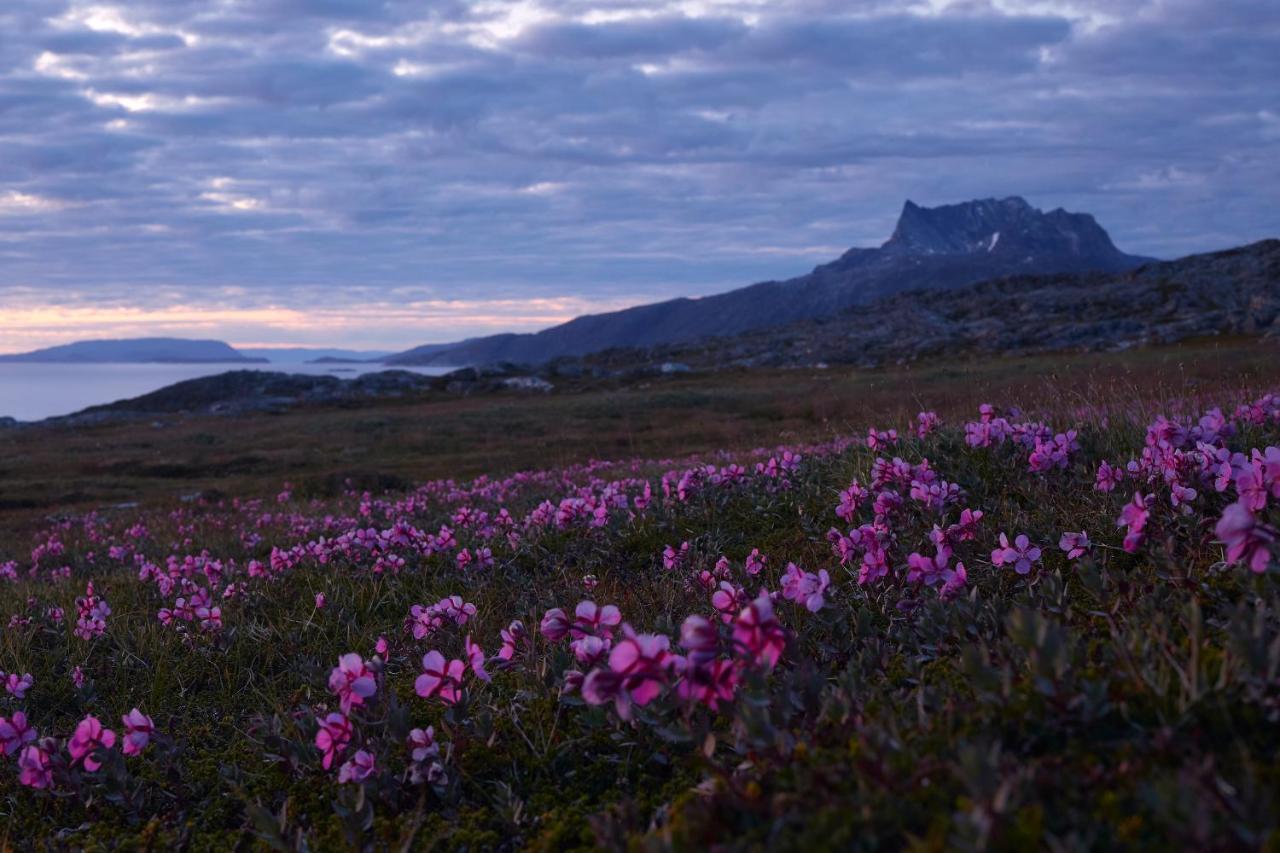 Hotel Nordbo Nuuk Bagian luar foto